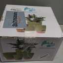 Plant Pots,12/10/9/8/ Inch Large Plastic Self Watering Flower Pots Indoor Outdoor with Drainage Holes, Deep Reservoir,Nursery Planting Pot for Indoor Out Door Plants (Green)