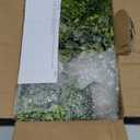 Fake Plants,5 Pack Small Fake Plants Mini Potted Artificial Eucalyptus Greenery Plastic Green Grass Plants for Indoor Outdoor,Mini Faux Plant for Shelve Desk Table Farmhouse Bathroom Shelf Decor (2 Green+3 Grey)