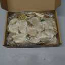 WILLBOND 36 Pieces Christmas Poinsettia Glitter Faux Flowers Christmas Artificial Flowers Tree Ornaments Topper Xmas Decorations(Gold)