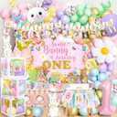 MOVINPE Some Bunny Is One Birthday Party Decorations for Girl, Baby Girl 1st Easter Bunny Birthday Party Supplies First Birthday Decor, Easter Rabbit Macaron Theme Balloons Backdrop Party Decor