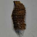 Human Braiding Hair for Boho Braids Human Hair 110g 20 Inch Curly Boho Hair for Braiding Knotless 12A Deep Wave Bohemian 3 Bundles/Pack Caramel Honey Blonde (27#-Honey Blonde-Deep)