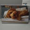 libitea 2 Pcs Funny Animal Bathroom Canvas Wall Art Cute Dog Reading Newspaper and Taking Bath on Toilet Art Print Humorous Bathroom Animal Painting Wall Decor for Dog Lovers Home Decoration, Size: 24"L x 16"W