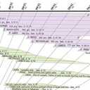 Amazing Bible Timeline with World History (Standard 37" x 45")
