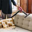 Shark ZU561 Navigator Lift-Away Speed Self Cleaning Brushroll Lightweight Upright Vacuum with HEPA Filter, Red Peony