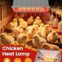 300W Dual-Mode Heat Lamp for Chickens - Long-Lasting Chicken Coop Heater & Chick Brooder Kit Companion, Safe Design with 7.87ft Cord for Poultry, Ducks, and Other Livestock