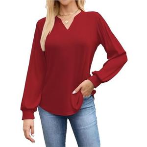 ALFYRCFT Long Sleeve Shirts for Women V Neck Pleated Puff Sleeve Tunic Tops Dressy Casual Work Loose Blouses 2025 Fall M