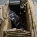 Outdoor Stair Handrails, 5 Steps Black Wrought Iron Railing Kits for Concrete or Wooden Porch Steps