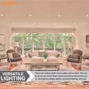 Sunlite 40754 Halogen MR11 20 Narrow Spot Light Bulb, 20 Watts, 12 Volts, 2-Pin (GU4) Base, Dimmable, 100 CRI, 2,000 Hour Life Span, 6 Pack 3200K - Warm White