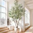 7ft Faux Olive Tree with Pot & Moss Artificial Olive Plant Fake Olive Tree for Home Decor, Large Indoor Artificial Trees Faux Plants Indoor Durable Artificial Trees for Living Room/Office