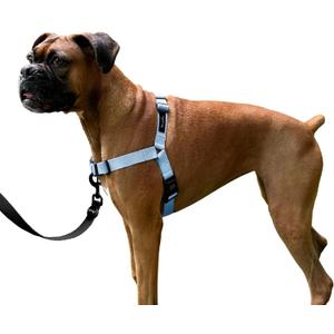 ShawnCo Dream Walk No-Pull Dog Harness- Adjustable, Comfortable, Easy to Use Pet Halter to Help Stop Pulling for Small, Medium and Large Dogs (Moonglow, L)