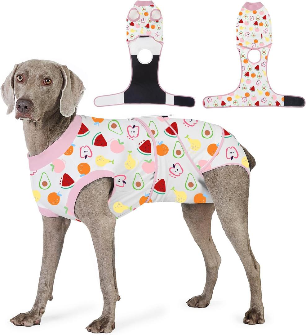 Dog Recovery Suit for Post Surgery, E-Collar Cone Alternative for Female Spay & Male Neuter, Breathable Soft Onesie for Abdominal Wounds & Skin Disease, Anti-Lick Surgical Suit for Dogs, Fruit, L