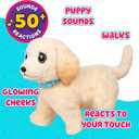 Little Live Pets Ouchies Cooper The Retriever Puppy, 50+ Sounds, Limping to Walking Puppy Toy with Vet Carrier, Interactive Toy Dog for Kids Ages 5+