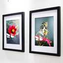 18x18 Frame Black With Mat 14x14 Solid Wood Picture Frames Wall Mounting (2 pack, 18x18 Inch)