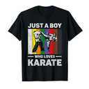 Just A Boy Who Loves Karate Vintage Taekwondo Karate T-Shirt, Medium