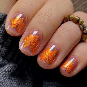 2 x CurvLife Fall Press On Nails Short Oval Maple Leaf Design Soft Gel Salon Quality False Nails Fake Nails with Glue, Long Lasting Daily Nail Tips for Women