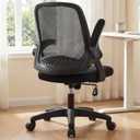 NEO CHAIR Office Desk Chair Computer Gaming Ergonomic Lumbar Back Support with Flip-up Padded Armrest Adjustable Height and Wheels for Home Vanity Bedroom Study (All Black)