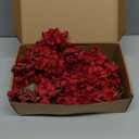 mizii 6Pcs Burgundy Wisteria Hanging Flowers 48" Silk Wisteria Artificial Flowers Garland Vines Fake Hanging Flowers Decoration for Wedding Flower Wall Backdrop Centerpieces Room Decor (Burgundy)