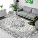 6'x9' Area Rugs for Living Room, Vintage Boho Rug Non-Shedding Carpet Non-Slip Rug Stain Proof Washable Rug for Dining Room Bedroom Entryway Kitchen