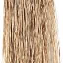 Teen Raffia Hula Skirt (natural) Party Accessory (1 count) (1/Pkg)