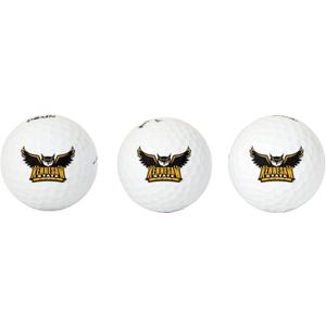 Desert Cactus Kennesaw State University Golf Balls 3 Pack Full Color Golf Ball (Design B)