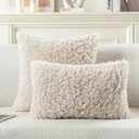 FUTEI Pack of 2 Decorative Throw Pillow Covers 20x20 Inch,Soft Fluffy Faux Wool Fur Boucle Textured Cushion Case,Modern Home Decor for Couch Bed Living Room Office,Beige