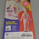 Dan&Darci Human Anatomy Squishy Body Model - Science Kits for Kids Ages 4-8 - STEM Toys for 4 5 6 7 8 Year Old Boy Birthday Gift - Learning Educational Toys for Ages 5-7 Boys Gifts - Skeleton Parts