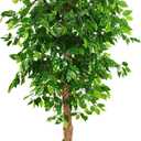 OXLLXO 6ft Artificial Ficus Silk Tree (72in) with Plastic Nursery Pot Faux Tree, Fake Plant for Office House Farmhouse Living Room Home Decor (Indoor/Outdoor)
