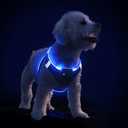 PceoTllar Light Up Dog Harness, LED No Pull Reflective Dog Harness, Flashing Lighted for Night Walking - Small/Medium, (Black Blue,xs)