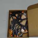 Leinuosen 16 Pcs Trading Card Cleaning Care Tool Accessory Kit Sports Card Flattening Kit Include 2 Pcs 6 Inches Clear Acrylic Rounds 10 Plastic Clamps 2 Pad Material 2 Shammy Towel