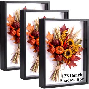 3 Pack Shadow Box Picture Frame Display Cases, 16 x 12 Inch, Black