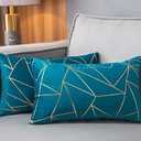 YONGLIU Pack of 1 Soft Velvet Lumbar Throw Pillow Covers Velvet Decorative Gold Foil Geometric Pattern Cute Cushion Case for Modern Homes Couch Sofa Bedroom Living Room (Aqua Blue and Gold, 12“X20”)
