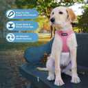 Best Pet Supplies Voyager Step-in Air Harness - All Weather Mesh, Reflective, No Pull Harness for Dogs, Cats - Secure with Hook & Loop Fastener, Buckle, Double D-Rings - Pink, XL