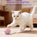 Silicone Cat Ball Toys with Bell 3 Pack - Interactive Cat Toy Balls for Indoor Cats - Durable Hollow Kitten Chew Toys for Teething & Bored Adult Cats