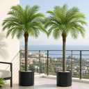 5ft Artificial Phoenix Palm Tree, Faux Coconut Silk Tropical Fake Palm Plant for Indoor Outdoor Home Office Patio Bathroom Pool Coastal Decor(Set of 2)
