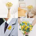 Uieke 30Pcs Natural Dried Flowers Craspedia Billy Balls Flowers Billy Buttons Floral Bouquet for Flower Arrangements Wedding Home Tall Vase Decor Yellow