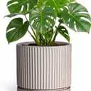 8 Inch Plant Pots, Ceramic Flower Pot, Round Planter with Tray, Grey