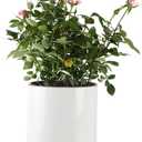 Mozing Ceramic Plant Pots Indoor - Garden Planter Pot for Planting - Modern Flower Pots with Drainage Hole for Home & Office Decor7x8.5 in Glossy surface ) (White (Glossy Finish)