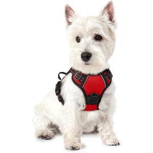 rabbitgoo Dog Harness No Pull with 2 Leash Clips, Adjustable Soft Padded, Reflective Oxford No Choke Pet Vest with Easy Control Handle for Puppy, Red,XS