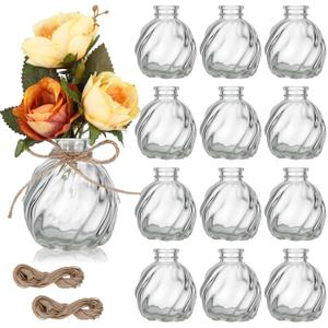 Baderke 12 Pcs 3 Inch Small Bud Vases for Flowers Small Glass Vases Bulk with 24 Pcs Jute Strings, Mini Clear Glass Bottles for Wedding Party Centerpieces Table Decor Home Floral Arrangements(Round)