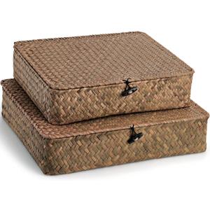 Elsjoy 2 Pack Flat Seagrass Storage Bins with Lid, Wicker Woven Storage Basket Set, Rattan Organizer Bins for Shelf, Closet, Bedroom