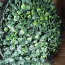 ODTORY Artificial Boxwood Roll,48x120 in (40 sqft) UV-Anti Faux Ivy Boxwood Hedge Leaf Grass Wall for Patio Balcony Privacy, Garden, Backyard Greenery Wall Backdrop and Fence Decor