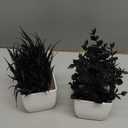 Der Rose 2 Pack Small Black Fake Plants Mini Artificial Potted Plants for Halloween Decor Table Desk Home Office Black Bathroom Decor