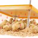 Riakrum Large Chick Brooder Heating Plate 16" x 16" Brooder Heater for 50 Chicks with Adjustable Height Poultry Heating Plate Constant Temperature 131F Safe Heat Lamp for Ducklings and Quail (15.7" x 15.7", Yellow)