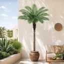 6FT Artificial Phoenix Palm Tree for Outdoors, UV Resistant Fake Coconut Silk Palm, Large Faux Tropical Tree for Outside Patio Poolside Home Office Indoor Decor, Black Pot Included