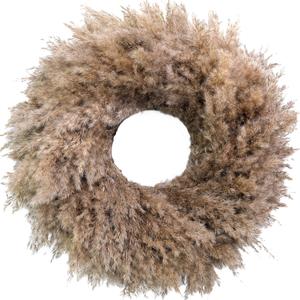 Natural Pampas Grass Wreath, 20'' Real Pampas Wreath for Front Door, Boho Wall Decor, Farmhouse Style, DIY Arrangement, Feather Wall Decor