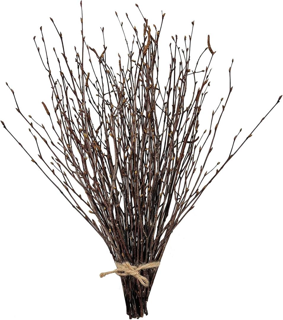 17 Inch Natural Birch Branches Dried Birch Twigs Wreath Making Supplies Dried Plants for Rustic Home Decor Easter Stems Vase Filler DIY Crafts Vases Tall Wreath Christmas Decoration Wedding (50Pcs)