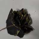 Black Glitter Gold Roses