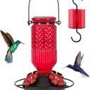 FEED GARDEN Glass Hummingbird Feeder, 16oz Outdoor Hanging Bird Feeder with Ant Moat, 4 Bee-Proof Feeding Ports, 360 Perch, Leak-Proof, Red