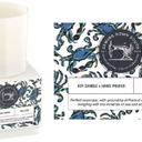 SDS for HD Designs Salt Air Candle, 9 oz