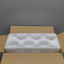 YANGNAY Coupe Champagne Glasses Set of 12 Crystal Cocktail Glasses with Short Stem, Martini Glasses - 7 oz